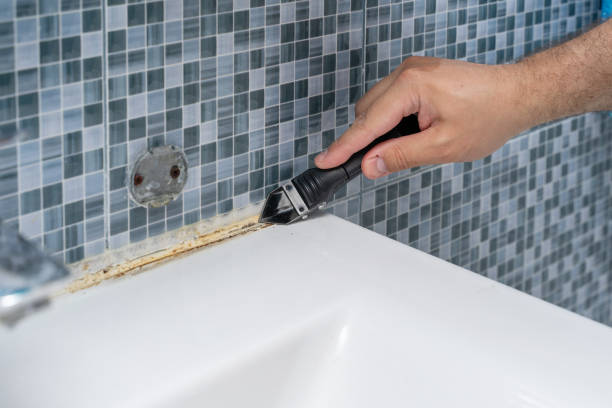 Office Mold Removal Services in Mosinee, WI